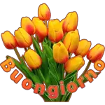 sticker fantasy
