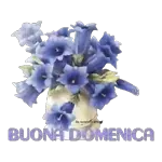 buongiorno gif