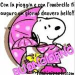 buon Santo stefano