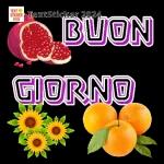 BUONA
GIORNATA