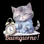 Buongiorno veloce! Ogni minuto conta oggi