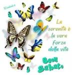 happy weekend 💐