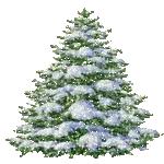 Merry Christmas!
