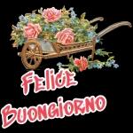 I fiori 🌷 di oggi,buongiorno
