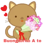 stikers