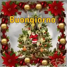 Buon giorno...