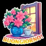 BUONGIORNO!