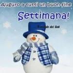 Fa così freddo❄️