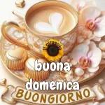 Buona Domenica 