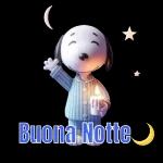 Buonanotte 29
