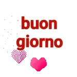 Love is the best feeling in the world.