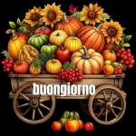 Buongiorno