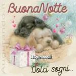 Dolci sogni..