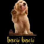 amore