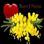 FESTA DELLA DONNA 8 Marzo Maria, la Donna più bella del mondo Maria, l'Amata, il Capolavoloro di Dio, la Donna vera, ricolma di ogni virtù e bellezza. Benedetta fra le donne. Ave losa Auguri Maria