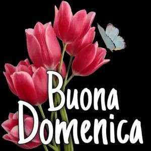 Buona Domenica - getsticker.com