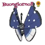 BgBnDinamici2