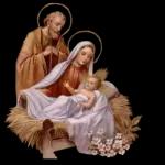wish you Merry Christmas