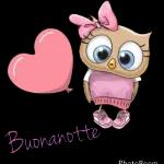 Buonanotte d