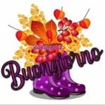BUON GIORNO