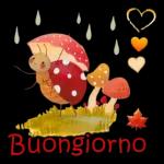 BUONGIORNO