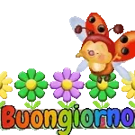 buon di