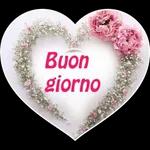  Buongiorno
