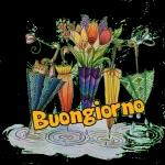 buongiorno