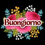 fiori stickers🌸🌸