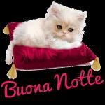 CERCASI
CHI MI FA
IL CAFFE'