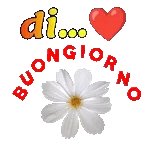 Ha piovuto oggi nella tua città? 🌧️🤔