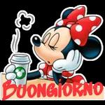  Bonjour
