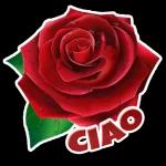Iniziamo la nuova settimana con la benedizione del Signore. Buon Lunedi