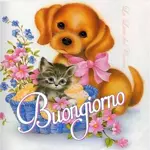 oggi è sabato,Un grande felicità 