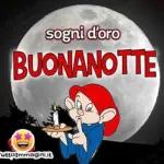 buonanotte 💗