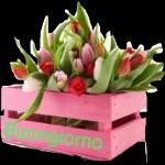 Con il sole arriva il buongiorno ☀️