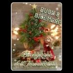 BUON 8 DICEMBRE Buongiorno dell'Immacolata