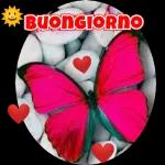 Buona colazione
