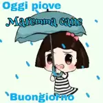 oggi piove