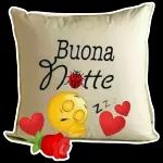 buon giorno  buona notte