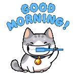 Buongiorno