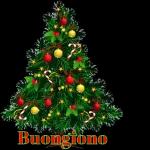 Buon 13 Dicembre