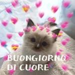buongiorno!