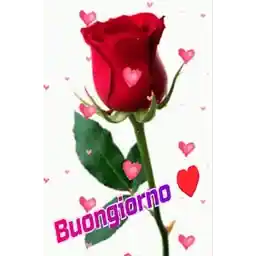 buongiorno gif