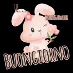 toghigi
paper
Buonanotte
amore