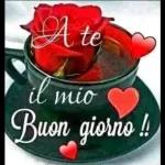 Damiano