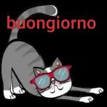 Mariarosa