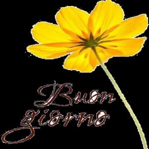 Buon giorno - getsticker.com