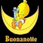 11111
Β. Νατ
Βιπαπεια