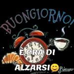 Dolci Sogni  toghigippaper  Buonanotte